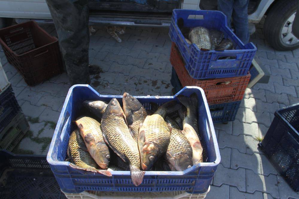 Sezon açıldı, Konya’da avcıların yüzü gülüyor 2